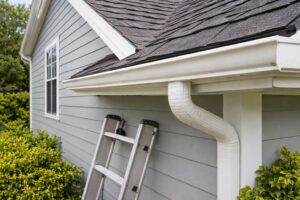 Gutter Services in Richmond, VA